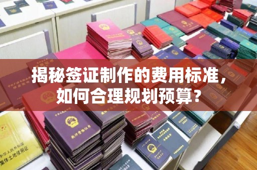 涧西揭秘签证制作的费用标准，如何合理规划预算？