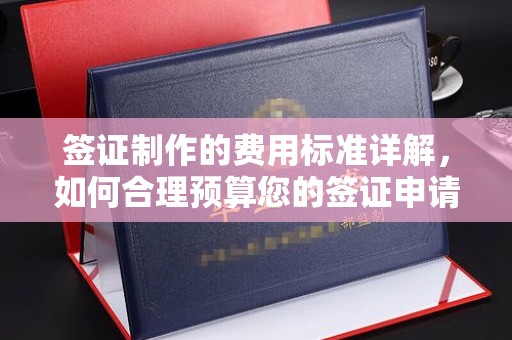 涧西签证制作的费用标准详解，如何合理预算您的签证申请成本